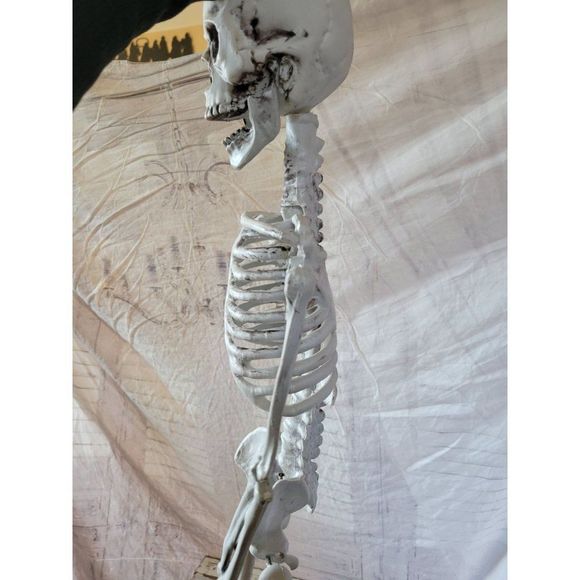 34" jointed skeleton Halloween prop hanging lawn decor home table - Picture 7 of 7
